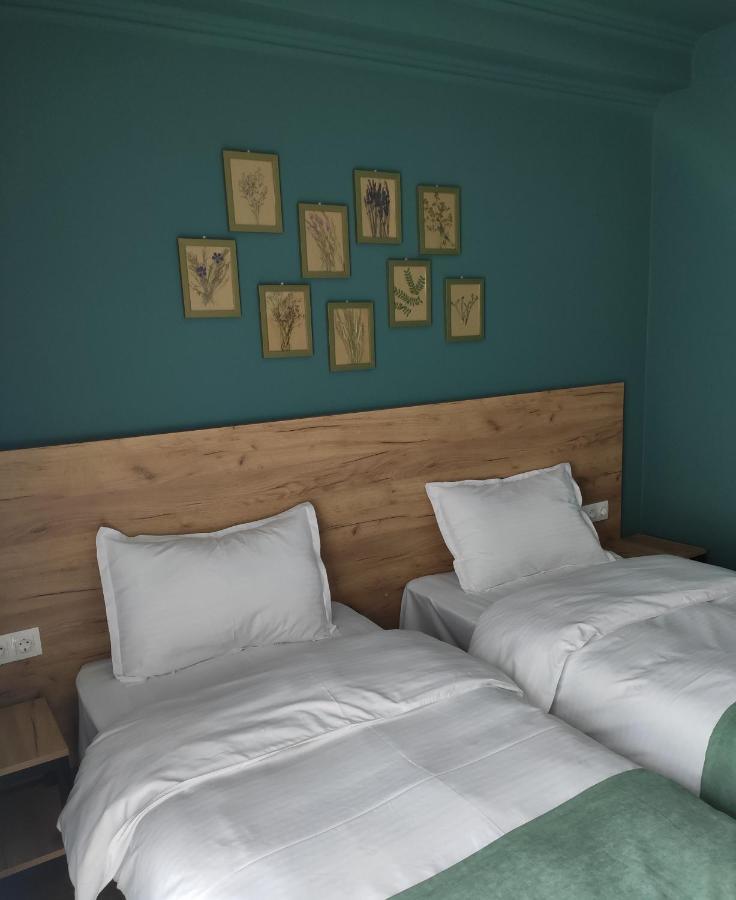 Northgate Hotel Kazbegi Eksteriør billede